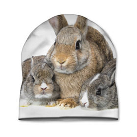 Шапка 3D с принтом Кролики в Новосибирске, 100% полиэстер | универсальный размер, печать по всей поверхности изделия | animals | bunnies | cute | eared | family | fluffy | kids | mom | rabbits | животные | зайцы | кролики | малыши | мама | милые | пушистые | семья | ушастые
