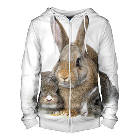 Мужская толстовка 3D на молнии с принтом Кролики в Новосибирске, 100% полиэстер | длина до линии бедра, манжеты и пояс оформлены мягкой тканевой резинкой, двухслойный капюшон со шнурком для регулировки, спереди молния, по бокам два кармана | Тематика изображения на принте: animals | bunnies | cute | eared | family | fluffy | kids | mom | rabbits | животные | зайцы | кролики | малыши | мама | милые | пушистые | семья | ушастые