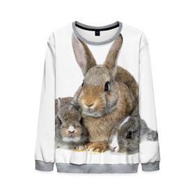 Мужской свитшот 3D с принтом Кролики в Новосибирске, 100% полиэстер с мягким внутренним слоем | круглый вырез горловины, мягкая резинка на манжетах и поясе, свободная посадка по фигуре | Тематика изображения на принте: animals | bunnies | cute | eared | family | fluffy | kids | mom | rabbits | животные | зайцы | кролики | малыши | мама | милые | пушистые | семья | ушастые
