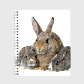 Тетрадь с принтом Кролики в Новосибирске, 100% бумага | 48 листов, плотность листов — 60 г/м2, плотность картонной обложки — 250 г/м2. Листы скреплены сбоку удобной пружинной спиралью. Уголки страниц и обложки скругленные. Цвет линий — светло-серый
 | animals | bunnies | cute | eared | family | fluffy | kids | mom | rabbits | животные | зайцы | кролики | малыши | мама | милые | пушистые | семья | ушастые