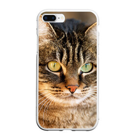Чехол для iPhone 7Plus/8 Plus матовый с принтом Кот в Новосибирске, Силикон | Область печати: задняя сторона чехла, без боковых панелей | animal | cat | eyes | face | head | kote | mustache | pet | взгляд | глаза | голова | домашнее | животное | кот | котэ | кошка | усы