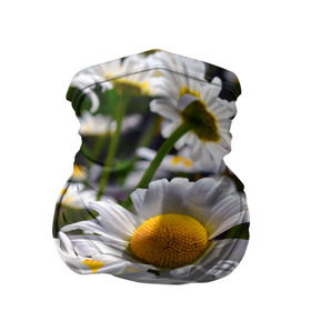 Бандана-труба 3D с принтом Ромашки в Новосибирске, 100% полиэстер, ткань с особыми свойствами — Activecool | плотность 150‒180 г/м2; хорошо тянется, но сохраняет форму | желтая | лепесток | природа | ромашка | цветок | яркая