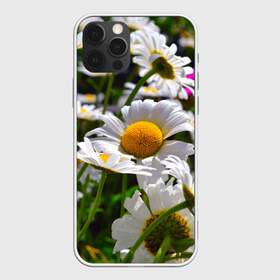 Чехол для iPhone 12 Pro Max с принтом Ромашки в Новосибирске, Силикон |  | Тематика изображения на принте: желтая | лепесток | природа | ромашка | цветок | яркая