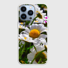 Чехол для iPhone 13 Pro с принтом Ромашки в Новосибирске,  |  | желтая | лепесток | природа | ромашка | цветок | яркая