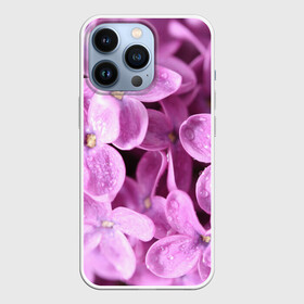 Чехол для iPhone 13 Pro с принтом Цветы сирени в Новосибирске,  |  | девушкам | сирень | цветы