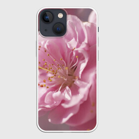 Чехол для iPhone 13 mini с принтом Розовые цветы в Новосибирске,  |  | девушкам | розы | цветочки | цветы