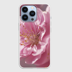 Чехол для iPhone 13 Pro с принтом Розовые цветы в Новосибирске,  |  | девушкам | розы | цветочки | цветы