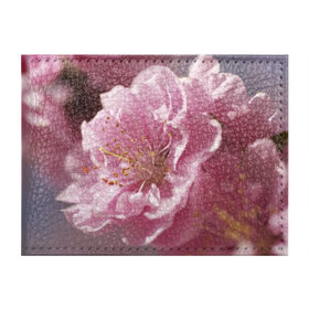 Обложка для студенческого билета с принтом Розовые цветы в Новосибирске, натуральная кожа | Размер: 11*8 см; Печать на всей внешней стороне | девушкам | розы | цветочки | цветы