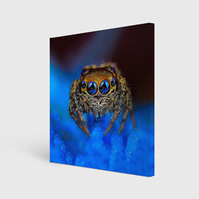 Холст квадратный с принтом Паук в Новосибирске, 100% ПВХ |  | глаза | животные | насекомые | паук | природа