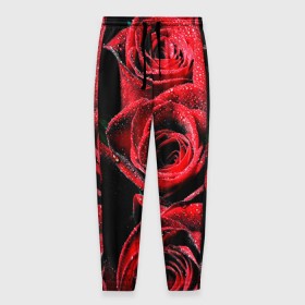 Мужские брюки 3D с принтом Розы в Новосибирске, 100% полиэстер | манжеты по низу, эластичный пояс регулируется шнурком, по бокам два кармана без застежек, внутренняя часть кармана из мелкой сетки | алый | красный | роса | фото | цветы