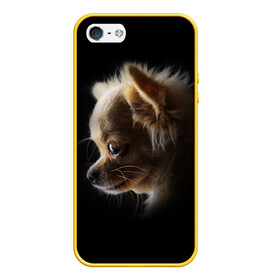 Чехол для iPhone 5/5S матовый с принтом Чихуахуа в Новосибирске, Силикон | Область печати: задняя сторона чехла, без боковых панелей | Тематика изображения на принте: голова животного | прикольные картинки | собака | чихуахуа | щенок