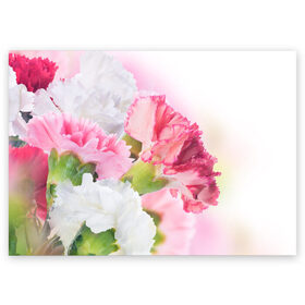 Поздравительная открытка с принтом Белые и розовые цветы в Новосибирске, 100% бумага | плотность бумаги 280 г/м2, матовая, на обратной стороне линовка и место для марки
 | Тематика изображения на принте: лепестки | прикольные картинки | цветочки | цветы