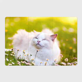 Магнитный плакат 3Х2 с принтом Белая киса в Новосибирске, Полимерный материал с магнитным слоем | 6 деталей размером 9*9 см | cat | киса | котенок | кошка | лето | ромашки | солнце