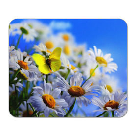 Коврик прямоугольный с принтом Ромашки и бабочка в Новосибирске, натуральный каучук | размер 230 х 185 мм; запечатка лицевой стороны | Тематика изображения на принте: бабочки | лето | природа | ромашки | цветы
