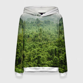 Женская толстовка 3D с принтом Потрясающие тропики в Новосибирске, 100% полиэстер  | двухслойный капюшон со шнурком для регулировки, мягкие манжеты на рукавах и по низу толстовки, спереди карман-кенгуру с мягким внутренним слоем. | деревья | джунгли | зелень | красиво | лес | пейзаж | фото