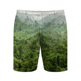 Мужские шорты 3D спортивные с принтом Потрясающие тропики в Новосибирске,  |  | деревья | джунгли | зелень | красиво | лес | пейзаж | фото