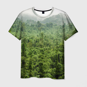 Мужская футболка 3D с принтом Потрясающие тропики в Новосибирске, 100% полиэфир | прямой крой, круглый вырез горловины, длина до линии бедер | деревья | джунгли | зелень | красиво | лес | пейзаж | фото