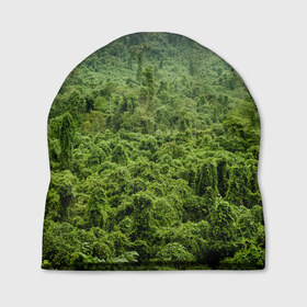 Шапка 3D с принтом Потрясающие тропики в Новосибирске, 100% полиэстер | универсальный размер, печать по всей поверхности изделия | деревья | джунгли | зелень | красиво | лес | пейзаж | фото
