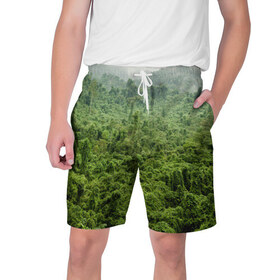 Мужские шорты 3D с принтом Потрясающие тропики в Новосибирске,  полиэстер 100% | прямой крой, два кармана без застежек по бокам. Мягкая трикотажная резинка на поясе, внутри которой широкие завязки. Длина чуть выше колен | деревья | джунгли | зелень | красиво | лес | пейзаж | фото