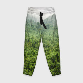 Детские брюки 3D с принтом Потрясающие тропики в Новосибирске, 100% полиэстер | манжеты по низу, эластичный пояс регулируется шнурком, по бокам два кармана без застежек, внутренняя часть кармана из мелкой сетки | деревья | джунгли | зелень | красиво | лес | пейзаж | фото