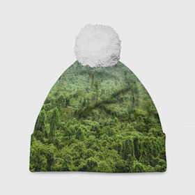 Шапка 3D c помпоном с принтом Потрясающие тропики в Новосибирске, 100% полиэстер | универсальный размер, печать по всей поверхности изделия | деревья | джунгли | зелень | красиво | лес | пейзаж | фото