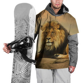 Накидка на куртку 3D с принтом Величиственый лев в Новосибирске, 100% полиэстер |  | царь зверей