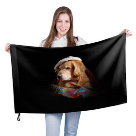 Флаг 3D с принтом Собака в очках в Новосибирске, 100% полиэстер | плотность ткани — 95 г/м2, размер — 67 х 109 см. Принт наносится с одной стороны | 