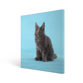 Холст квадратный с принтом Кот мейн кун в Новосибирске, 100% ПВХ |  | Тематика изображения на принте: котенок | мейнкун