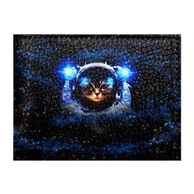 Обложка для студенческого билета с принтом Кот космонавт в Новосибирске, натуральная кожа | Размер: 11*8 см; Печать на всей внешней стороне | звёздное небо | космос | кот | кошка | прикольные картинки
