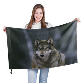 Флаг 3D с принтом Волк в лесу в Новосибирске, 100% полиэстер | плотность ткани — 95 г/м2, размер — 67 х 109 см. Принт наносится с одной стороны | 