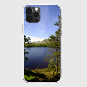 Чехол для iPhone 12 Pro Max с принтом сосны в Новосибирске, Силикон |  | берег | горы | лес | море | озеро | океан | сосны | тайга