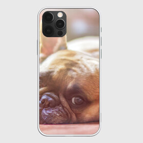 Чехол для iPhone 12 Pro Max с принтом французский бульдог в Новосибирске, Силикон |  | Тематика изображения на принте: dog | бульдог | друг | собака | язык
