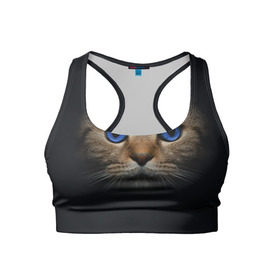Женский спортивный топ 3D с принтом Кот с синими глазами в Новосибирске, 82% полиэстер, 18% спандекс Ткань безопасна для здоровья, позволяет коже дышать, не мнется и не растягивается |  | кот | котенок | кошка | мордочка