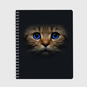 Тетрадь с принтом Кот с синими глазами в Новосибирске, 100% бумага | 48 листов, плотность листов — 60 г/м2, плотность картонной обложки — 250 г/м2. Листы скреплены сбоку удобной пружинной спиралью. Уголки страниц и обложки скругленные. Цвет линий — светло-серый
 | кот | котенок | кошка | мордочка