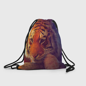 Рюкзак-мешок 3D с принтом Тигр в Новосибирске, 100% полиэстер | плотность ткани — 200 г/м2, размер — 35 х 45 см; лямки — толстые шнурки, застежка на шнуровке, без карманов и подкладки | лев | тигр
