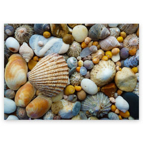 Поздравительная открытка с принтом Морские ракушки и камни в Новосибирске, 100% бумага | плотность бумаги 280 г/м2, матовая, на обратной стороне линовка и место для марки
 | Тематика изображения на принте: камни | море | морские камни | ракушки