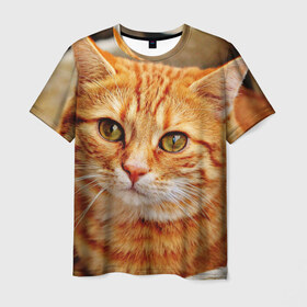 Мужская футболка 3D с принтом кот в Новосибирске, 100% полиэфир | прямой крой, круглый вырез горловины, длина до линии бедер | cat | взгляд | глаза | киса | кот | котенок | котик