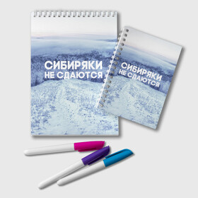Блокнот с принтом Сибирь в Новосибирске, 100% бумага | 48 листов, плотность листов — 60 г/м2, плотность картонной обложки — 250 г/м2. Листы скреплены удобной пружинной спиралью. Цвет линий — светло-серый
 | сибирь