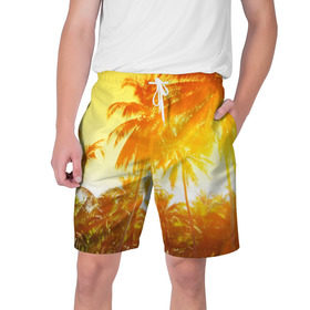 Мужские шорты 3D с принтом Пальмы в Новосибирске,  полиэстер 100% | прямой крой, два кармана без застежек по бокам. Мягкая трикотажная резинка на поясе, внутри которой широкие завязки. Длина чуть выше колен | Тематика изображения на принте: sea | summer | берег | лето | море | океан | отдых | пальмы | пляж | солнце
