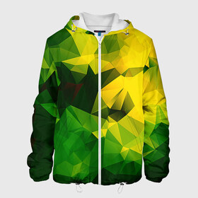 Мужская куртка 3D с принтом Polygonal в Новосибирске, ткань верха — 100% полиэстер, подклад — флис | прямой крой, подол и капюшон оформлены резинкой с фиксаторами, два кармана без застежек по бокам, один большой потайной карман на груди. Карман на груди застегивается на липучку | желтый | зеленый | полигоны