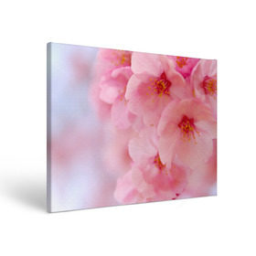 Холст прямоугольный с принтом Сакура в Новосибирске, 100% ПВХ |  | весна | вишня | розовый | цветение | цветы | япония