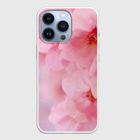 Чехол для iPhone 13 Pro с принтом Сакура в Новосибирске,  |  | весна | вишня | розовый | цветение | цветы | япония