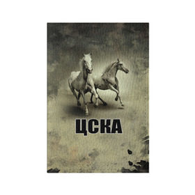 Обложка для паспорта матовая кожа с принтом ЦСКА в Новосибирске, натуральная матовая кожа | размер 19,3 х 13,7 см; прозрачные пластиковые крепления | на макете изображены кони.цска | премьер лига | рфпл | футбол | чемпион
