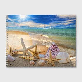 Альбом для рисования с принтом Морской пляж 2 в Новосибирске, 100% бумага
 | матовая бумага, плотность 200 мг. | Тематика изображения на принте: море | отдых | отпуск | пляж | ракушки | туризм