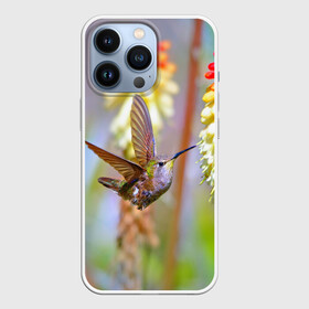 Чехол для iPhone 13 Pro с принтом Колибри в Новосибирске,  |  | Тематика изображения на принте: лепесток | новая | природа | птичка | цветок | яркая
