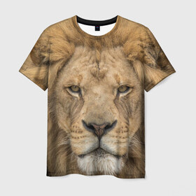 Мужская футболка 3D с принтом Лев в Новосибирске, 100% полиэфир | прямой крой, круглый вырез горловины, длина до линии бедер | грива | джунгли | животные | зверь | король | кровь | лев | охотник | хищник | царь