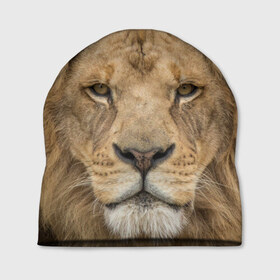 Шапка 3D с принтом Лев в Новосибирске, 100% полиэстер | универсальный размер, печать по всей поверхности изделия | грива | джунгли | животные | зверь | король | кровь | лев | охотник | хищник | царь