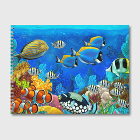Альбом для рисования с принтом Экзотические рыбки в Новосибирске, 100% бумага
 | матовая бумага, плотность 200 мг. | Тематика изображения на принте: животые | красочные | морские | рыбки | цветные | экзотические