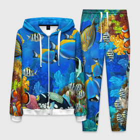 Мужской костюм 3D с принтом Экзотические рыбки в Новосибирске, 100% полиэстер | Манжеты и пояс оформлены тканевой резинкой, двухслойный капюшон со шнурком для регулировки, карманы спереди | Тематика изображения на принте: животые | красочные | морские | рыбки | цветные | экзотические