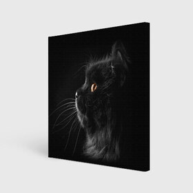 Холст квадратный с принтом Милая кошечка в Новосибирске, 100% ПВХ |  | osfenemy | животное | животные | киса | кошечка | кошка | милая | мур | мяу | фото | черный
